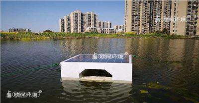 蓝藻原位治理装置