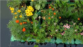 复氧型生态浮岛