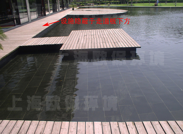 清水养鱼技术 清水养鱼技术