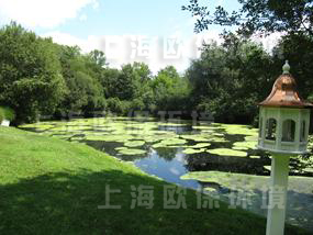 富营养化的湖泊长满水面和蓝藻,未使用太阳能曝气机前 富营养化的湖泊长满水面和蓝藻,未使用太阳能曝气机前