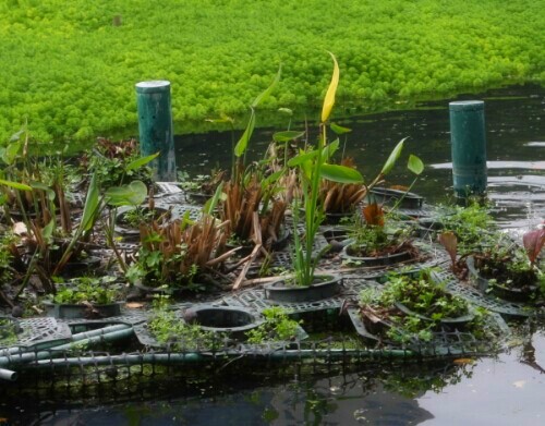 黑臭河道,黑臭河道治理,河道治理,河道治理方式 黑臭河道,黑臭河道治理,河道治理,河道治理方式