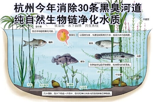 黑臭河道,黑臭河道治理,河道治理,河道治理方式 黑臭河道,黑臭河道治理,河道治理,河道治理方式