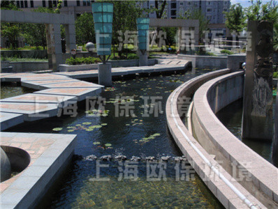 清水养鱼,清澈见底景观水池,景观鱼池治理,景观水治理 清水养鱼,清澈见底景观水池,景观鱼池治理,景观水治理