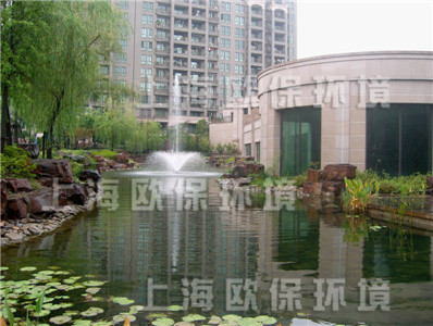 浮水喷泉曝气机,浮水喷泉,浮水喷泉案例 浮水喷泉曝气机,浮水喷泉,浮水喷泉案例