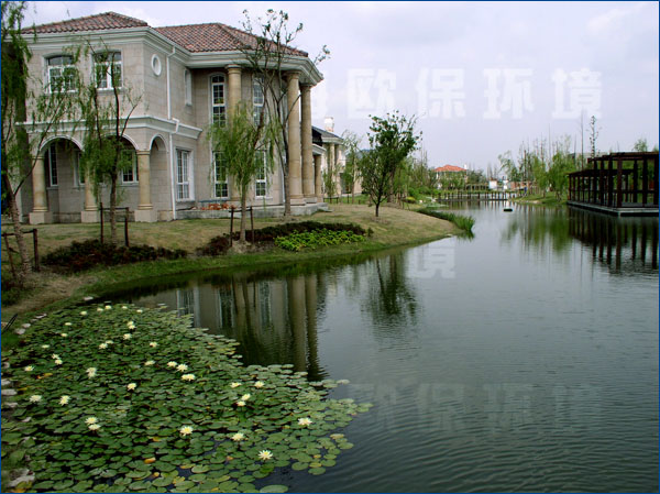 人工湖治理,上海中海翡翠湖岸 人工湖治理,上海中海翡翠湖岸