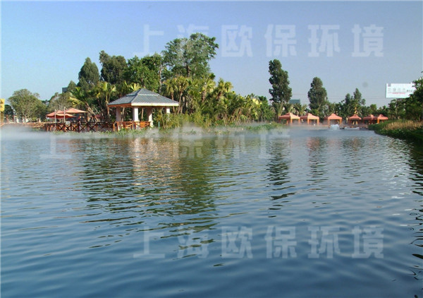 人工湖治理,景观湖治理