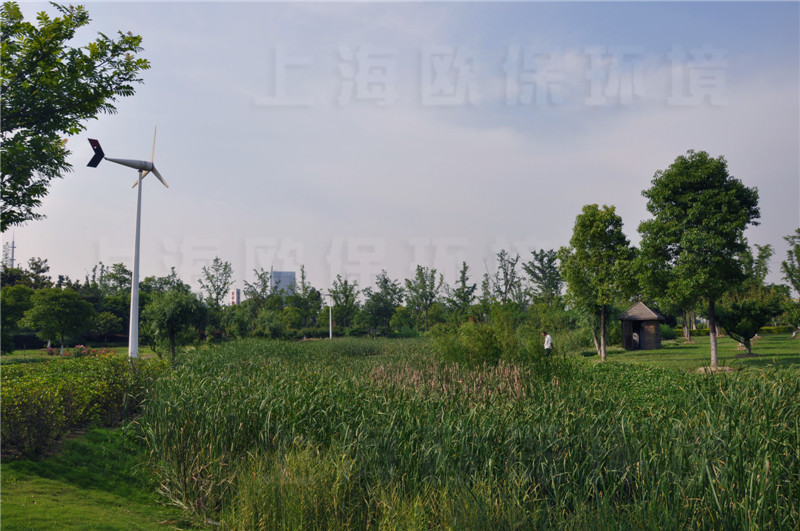 生物链不完整,植物过度繁殖,遮蔽水体 生物链不完整,植物过度繁殖,遮蔽水体