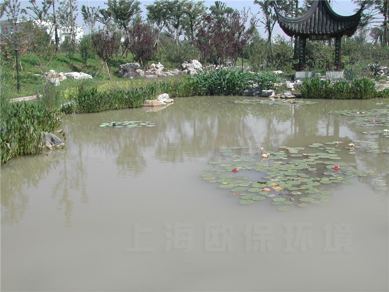 新建边坡的不稳定,泥沙流失到湖体中造成水体浊度升高 新建边坡的不稳定,泥沙流失到湖体中造成水体浊度升高