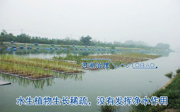 错误介质生态浮岛 错误介质生态浮岛