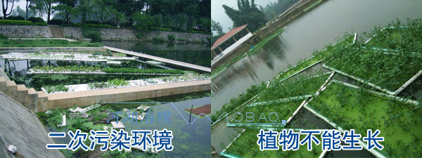 框架生态浮岛 框架生态浮岛