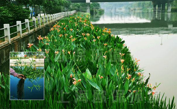抗风浪生态浮岛 抗风浪生态浮岛