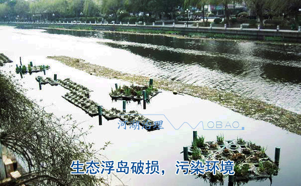 单元型生态浮岛 单元型生态浮岛