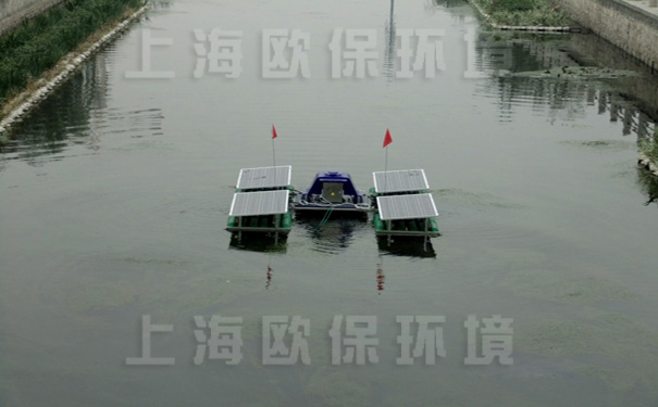 治理后的马草河滨水绿带成为环境宜人的亲水平台 治理后的马草河滨水绿带成为环境宜人的亲水平台