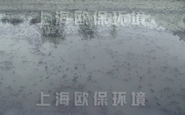 治理前的马草河黑苔爆发,富营养化严重,水质为劣V类水 治理前的马草河黑苔爆发,富营养化严重,水质为劣V类水