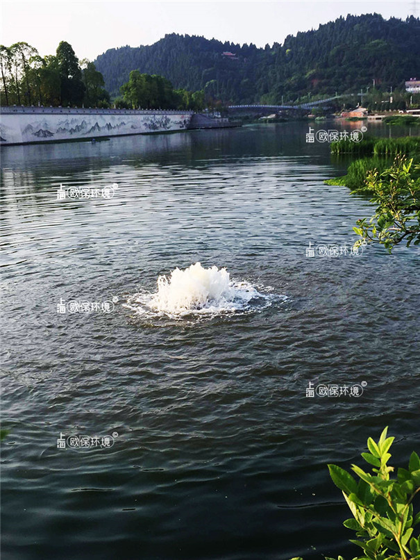 涌泉曝气机快速改善景观水体指标 涌泉曝气机快速改善景观水体指标