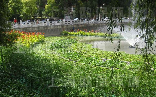 氧化塘增容净化装置-应用于富营养化人工湖 氧化塘增容净化装置-应用于富营养化人工湖