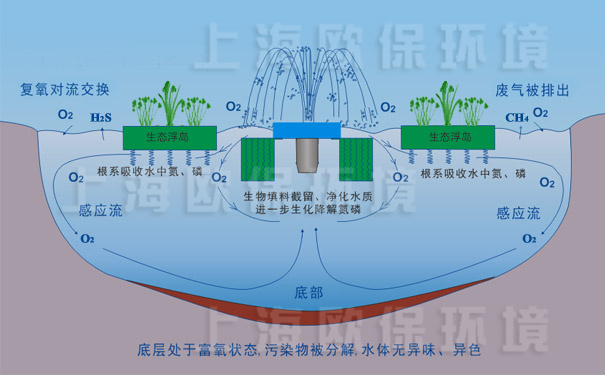 氧化塘增容净化装置-工作原理图 氧化塘增容净化装置-工作原理图