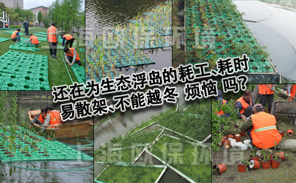 普通生态浮岛存在的问题 普通生态浮岛存在的问题