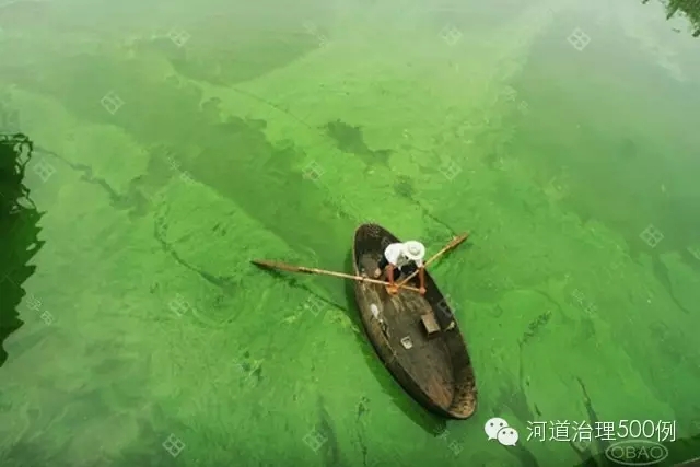 农业污染排入河流后 农业污染排入河流后