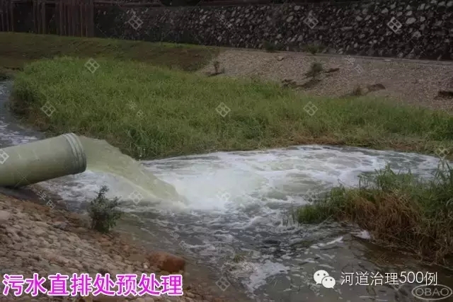 污水直排处 污水直排处