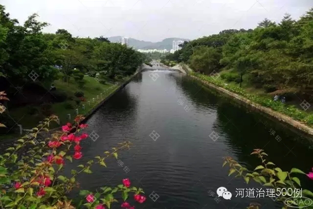 深度剖析济南小清河的“清” 深度剖析济南小清河的“清”