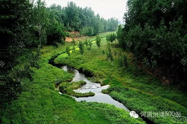 恢复自然河流原有的低水路 恢复自然河流原有的低水路