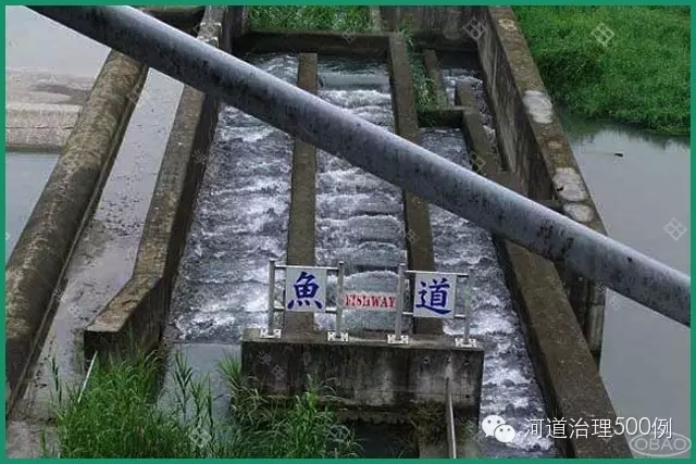 混凝土构筑的鱼道 混凝土构筑的鱼道