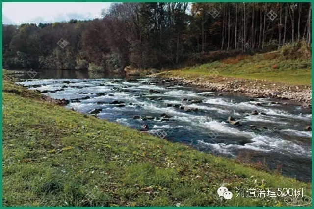 具有浅滩和深潭交替结构的自然河流状态 具有浅滩和深潭交替结构的自然河流状态