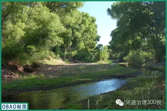 生态修复 生态修复