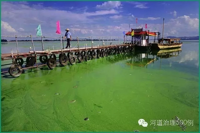 滇池的水华现象 滇池的水华现象