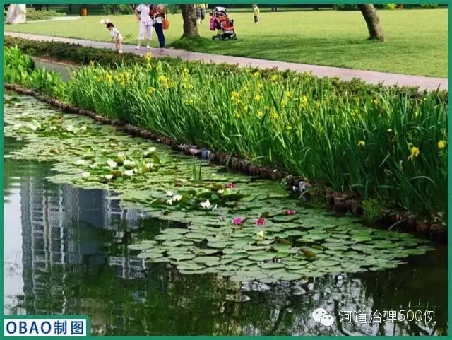 【国内案例】“首批海绵城市示范湖泊治理”——常德滨湖公园水环境生态修复 【国内案例】“首批海绵城市示范湖泊治理”——常德滨湖公园水环境生态修复