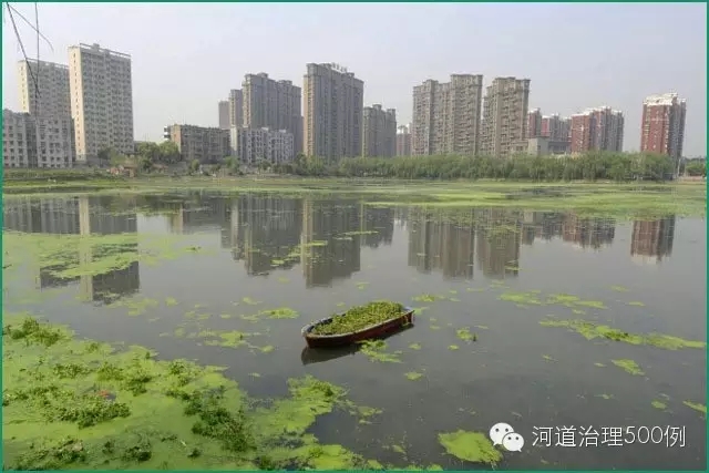 武汉沙湖 武汉沙湖