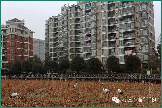 武汉沙湖,梦湖水岸小区 武汉沙湖,梦湖水岸小区