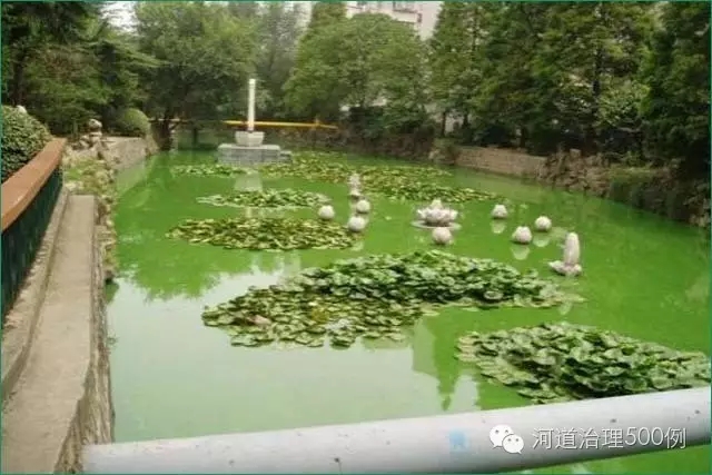 【国内案例】国内水体生态修复的先例&mdash;上海市曹杨环浜污染治理示范工程