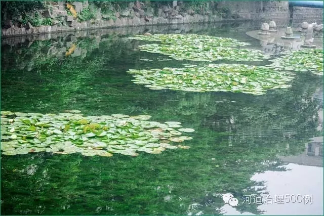 【国内案例】国内水体生态修复的先例&mdash;上海市曹杨环浜污染治理示范工程