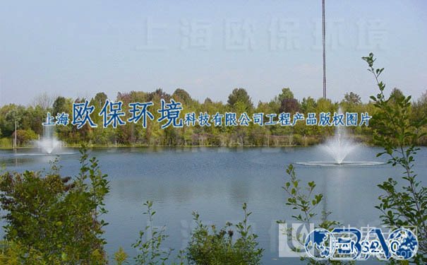 上海水务局局长:河道整治数量只做加法 上不封顶