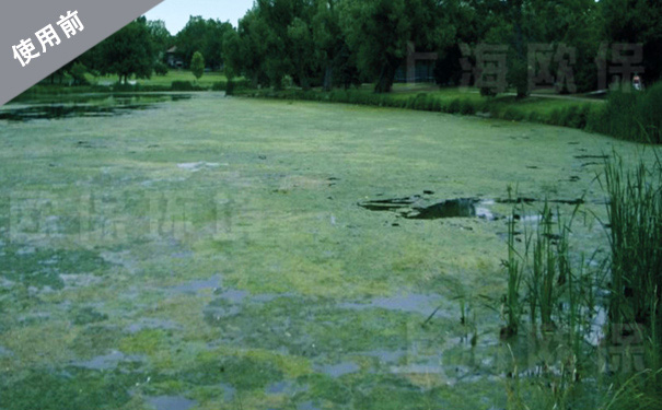 太阳能曝气装置在河道治理中的应用 太阳能曝气装置在河道治理中的应用