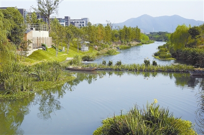 丁桥新城二号港成为杭州首条生态示范河道