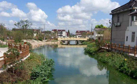 闵行142条河道月底告别黑臭 水生态修复成整治重点 闵行142条河道月底告别黑臭 水生态修复成整治重点