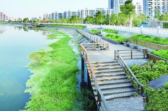 启动水系生态同步治理 临水而建联盟生态公园
