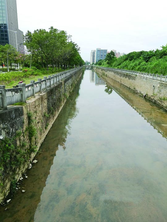 光明新区:综合施策黑臭水体治理见成效 光明新区:综合施策黑臭水体治理见成效