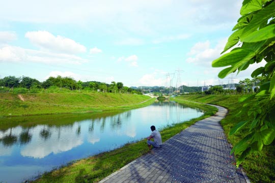 光明新区:综合施策黑臭水体治理见成效 光明新区:综合施策黑臭水体治理见成效