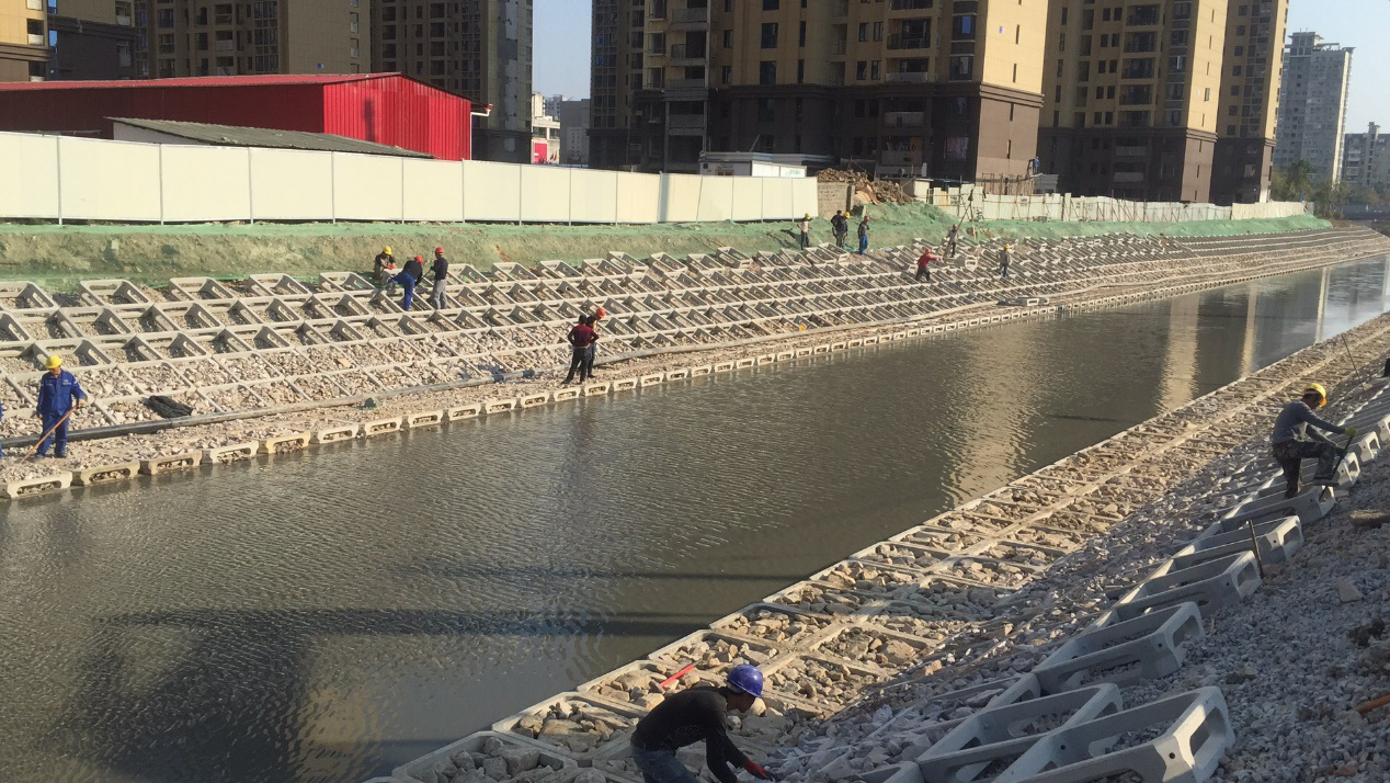 治理后的浦上河水质明细提升