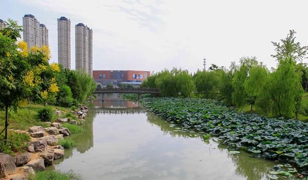 崇尚生态美 温州出台全省首个《乡村河道指导意见》 崇尚生态美 温州出台全省首个《乡村河道指导意见》