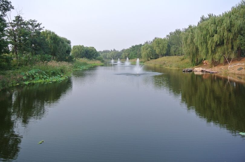 南宁整治内河河道：黑臭水体不再 水清岸绿相伴 欧保生态浮岛与FANS1500喷泉曝气机