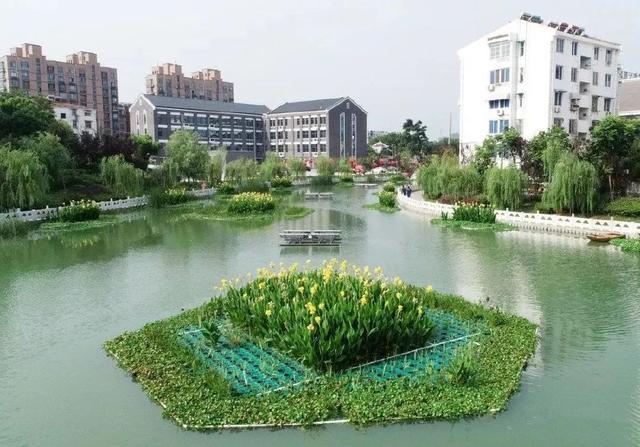 整治河道水环境 建设和谐新农村 欧保太阳能曝气机与生态浮岛