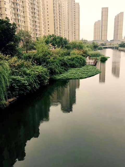 泰兴市滨江镇河道生态治理取得明显成效 泰兴市滨江镇河道生态治理取得明显成效