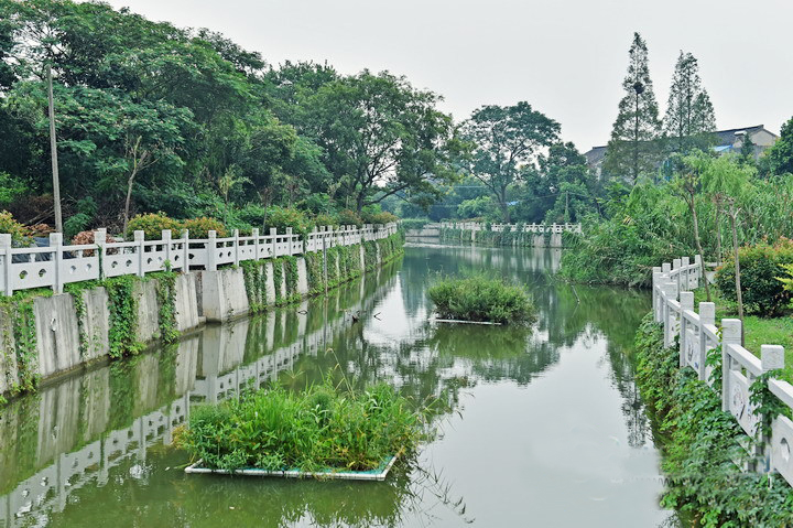 连云港市整治创新 景观水面将现更多欧保生态浮岛 连云港市整治创新 景观水面将现更多欧保生态浮岛