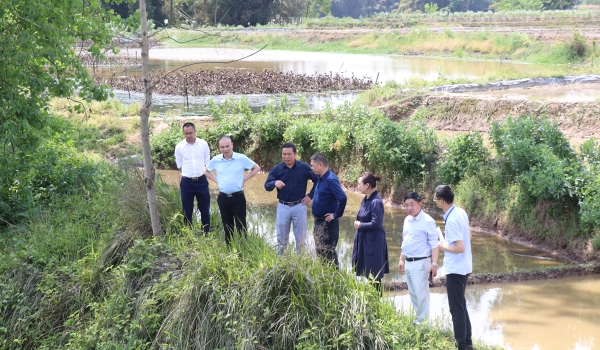 泸县人大常委会副主任余冰率队督导玄滩镇环保工作,实地查看了河道治理、饮用水源地保护和环保问题整改等情况。 泸县人大常委会副主任余冰率队督导玄滩镇环保工作,实地查看了河道治理、饮用水源地保护和环保问题整改等情况。