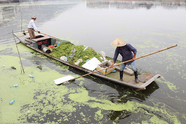 人工打捞浮萍难度较大,耗时费工,存在安全隐患 人工打捞浮萍难度较大,耗时费工,存在安全隐患